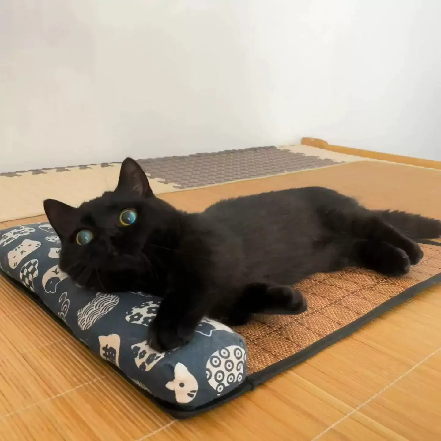 {title} — rattan weave cooling mat for cats and dogs – view 4