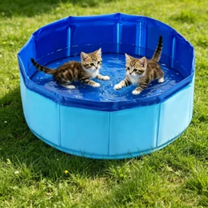 Blue pet play pool for cats and dogs — {view}